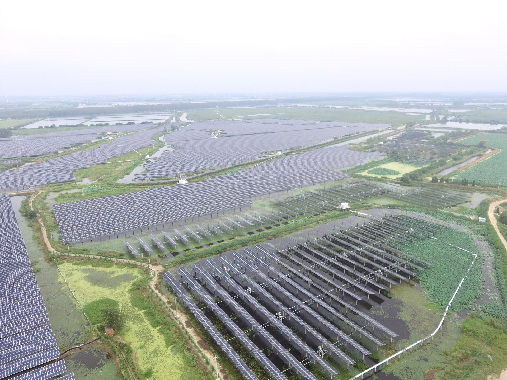 #2 100 MW Project at the Top Runner PV Power Generation Application Base of www@haobo.com in Baoying, Yangzhou, Jiangsu Province